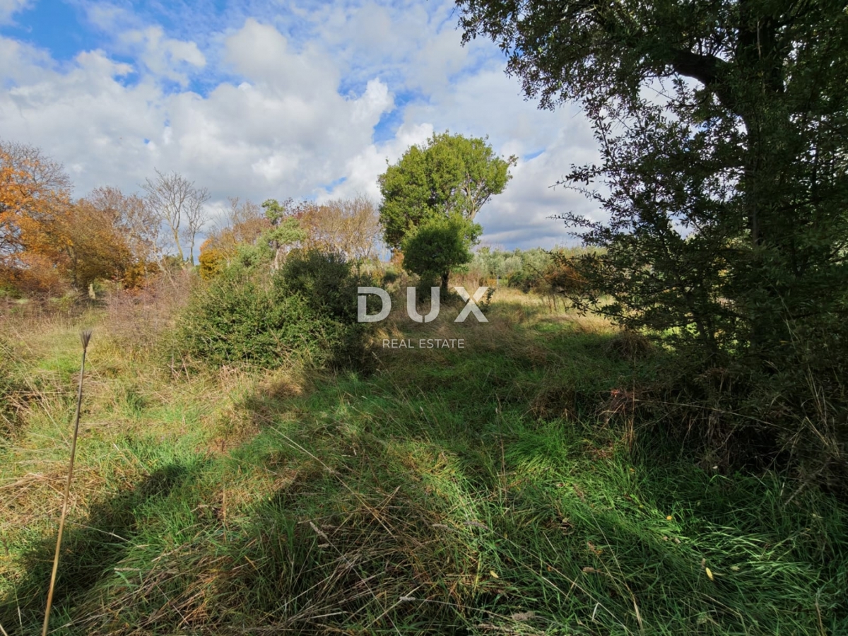 ISTRA, PULA - Prostorno kmetijsko zemljišče 11420m2!