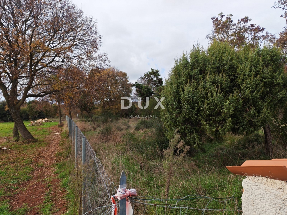 ISTRA, PULA - Prostorno kmetijsko zemljišče 11420m2!