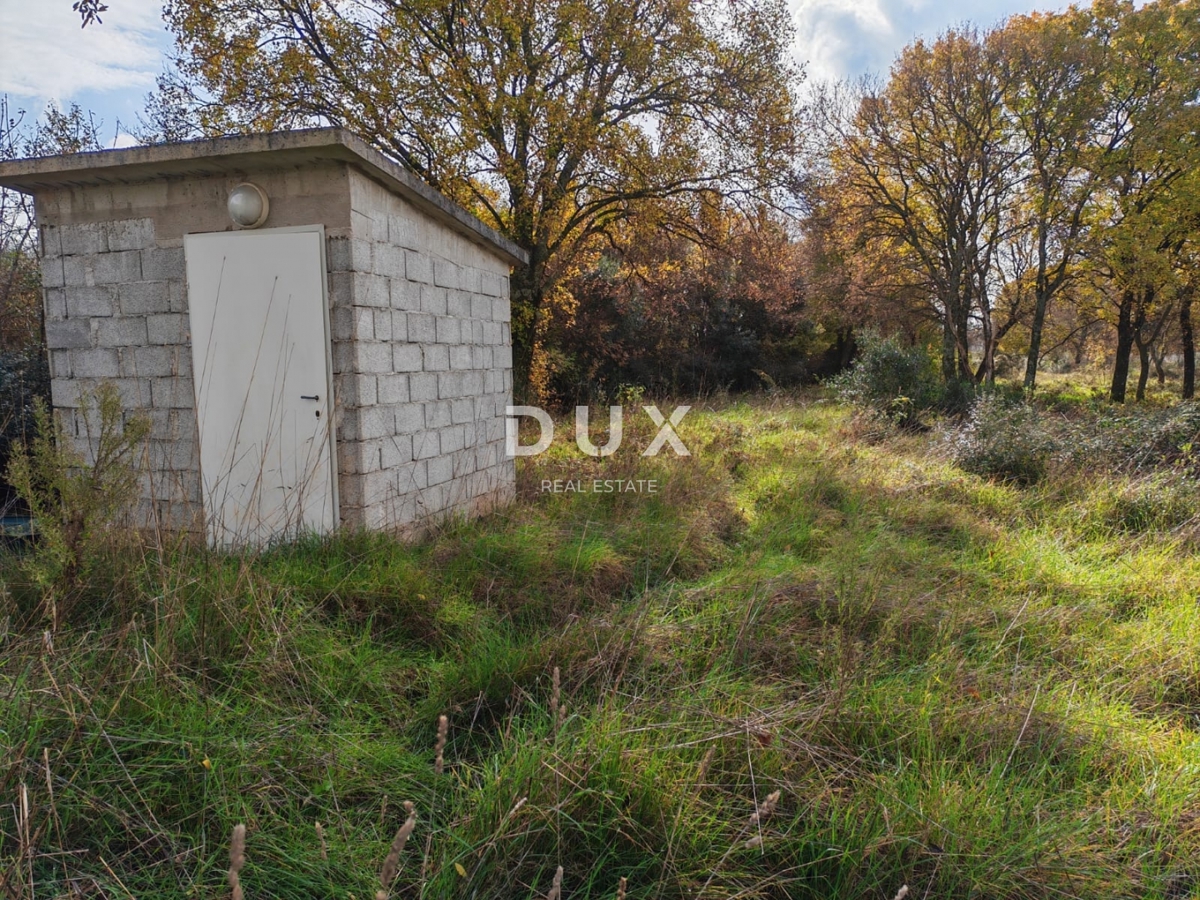 ISTRA, PULA - Prostorno kmetijsko zemljišče 11420m2!