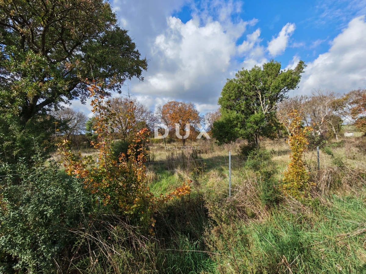 ISTRA, PULA - Prostorno kmetijsko zemljišče 11420m2!