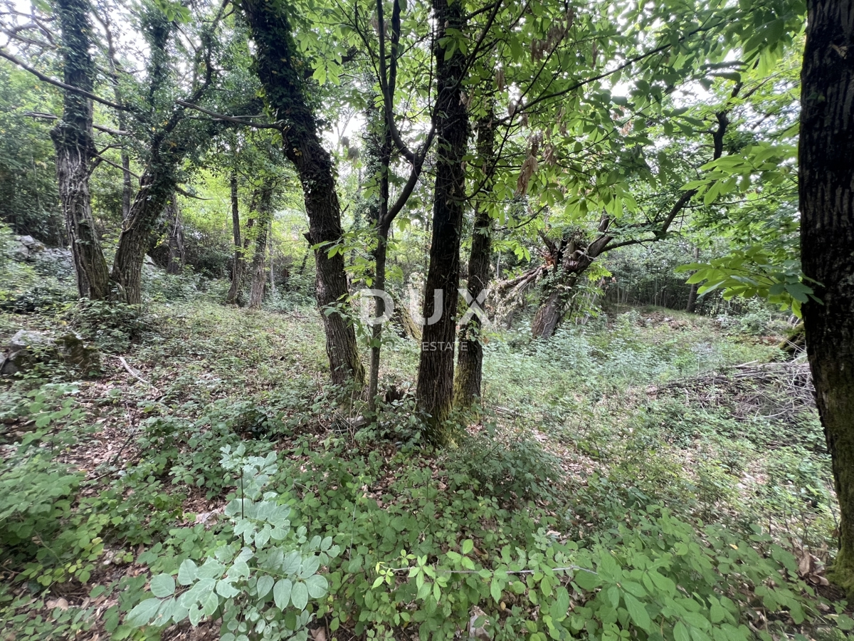 OPATIJA, MOŠČENIČKA DRAGA – rekonstrukcija objekta