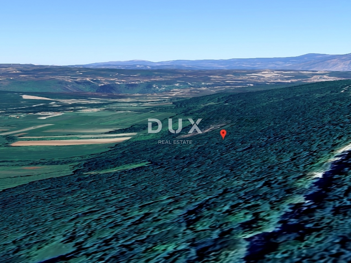 ISTRA, LABIN - Prostran gozdni kraj