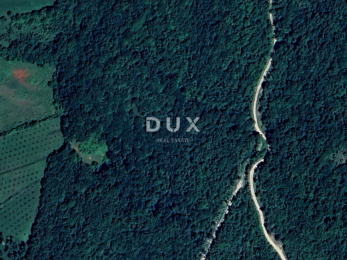 ISTRA, LABIN - Prostran gozdni kraj