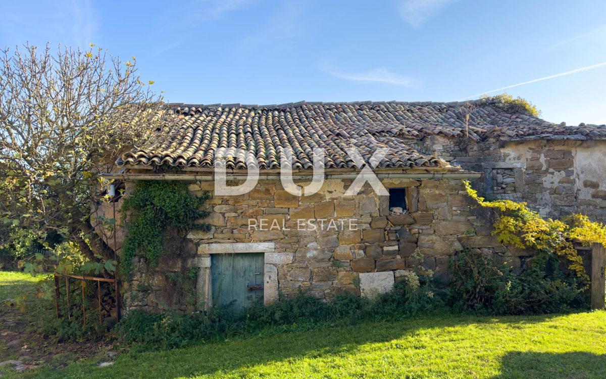 ISTRA, LUPOGLAV, OKOLICA - podeželsko posestvo v Istri z 8 hišami na samem - zemljišče 22.000 m²