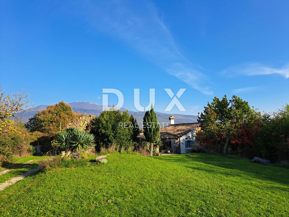 ISTRA, LUPOGLAV, OKOLICA - podeželsko posestvo v Istri z 8 hišami na samem - zemljišče 22.000 m²