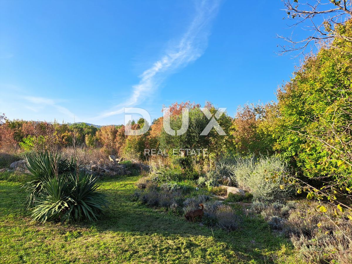 ISTRA, LUPOGLAV, OKOLICA - podeželsko posestvo v Istri z 8 hišami na samem - zemljišče 22.000 m²