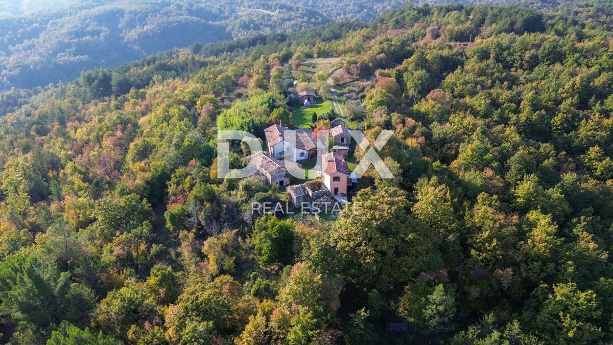 ISTRA, LUPOGLAV, OKOLICA - podeželsko posestvo v Istri z 8 hišami na samem - zemljišče 22.000 m²