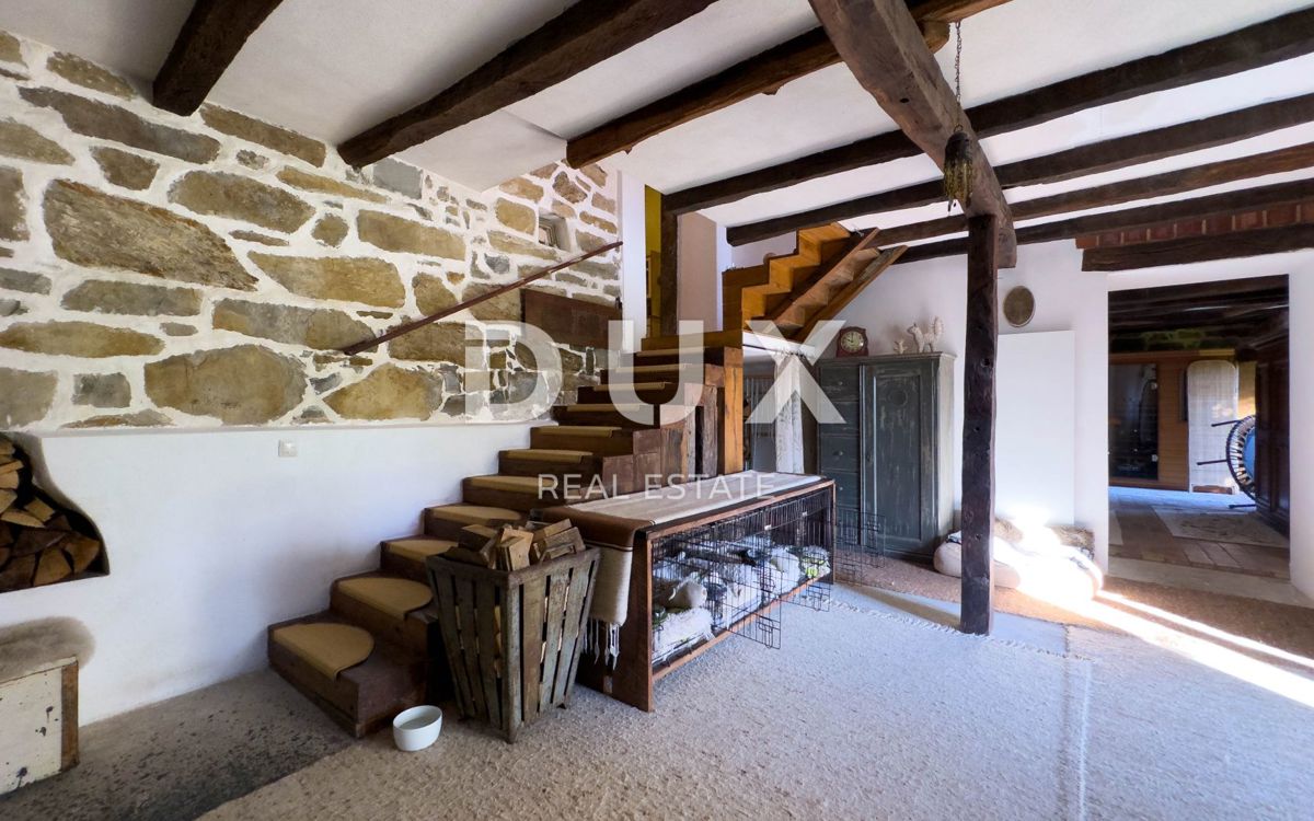 ISTRA, LUPOGLAV, OKOLICA - podeželsko posestvo v Istri z 8 hišami na samem - zemljišče 22.000 m²