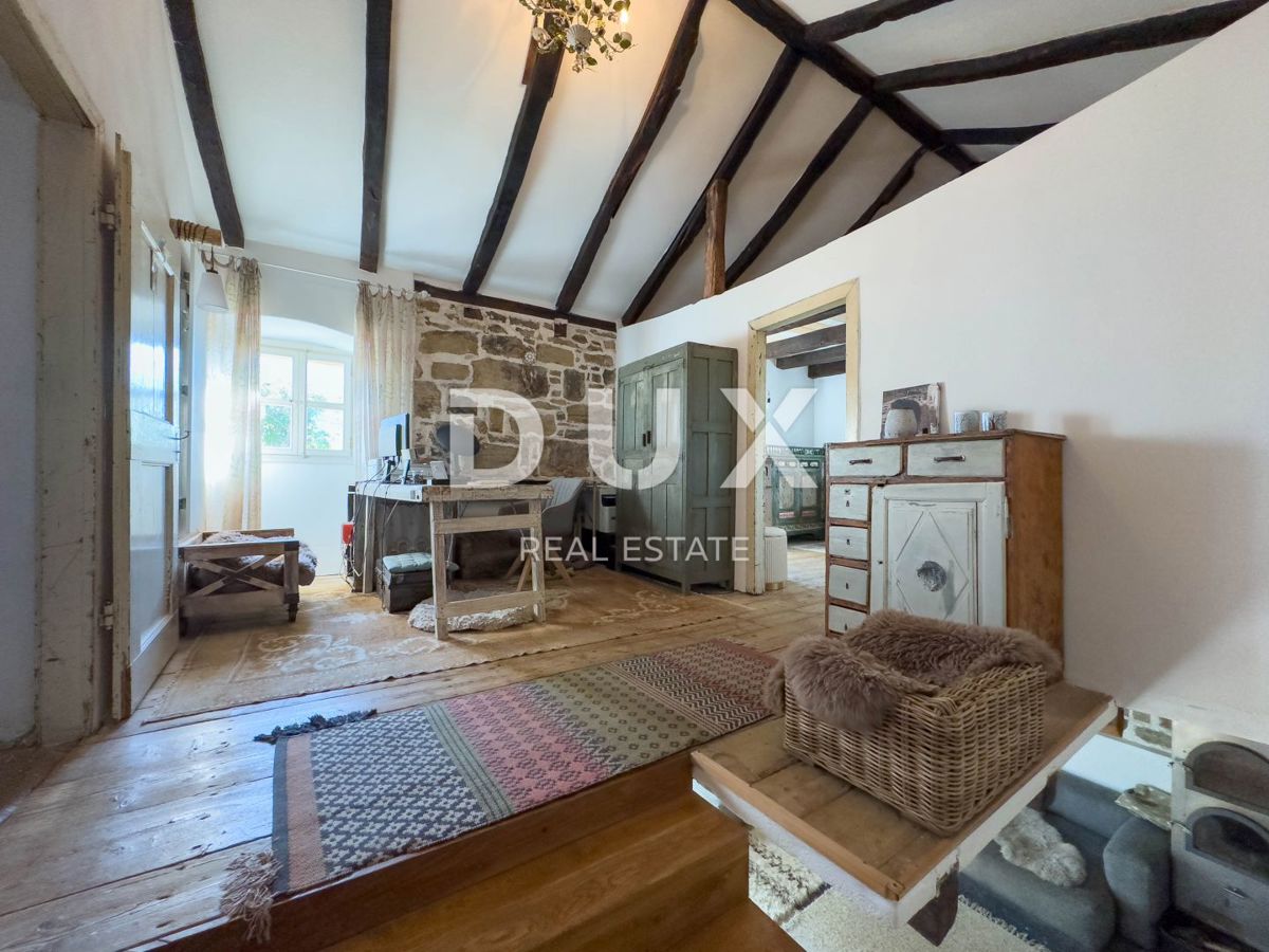 ISTRA, LUPOGLAV, OKOLICA - podeželsko posestvo v Istri z 8 hišami na samem - zemljišče 22.000 m²