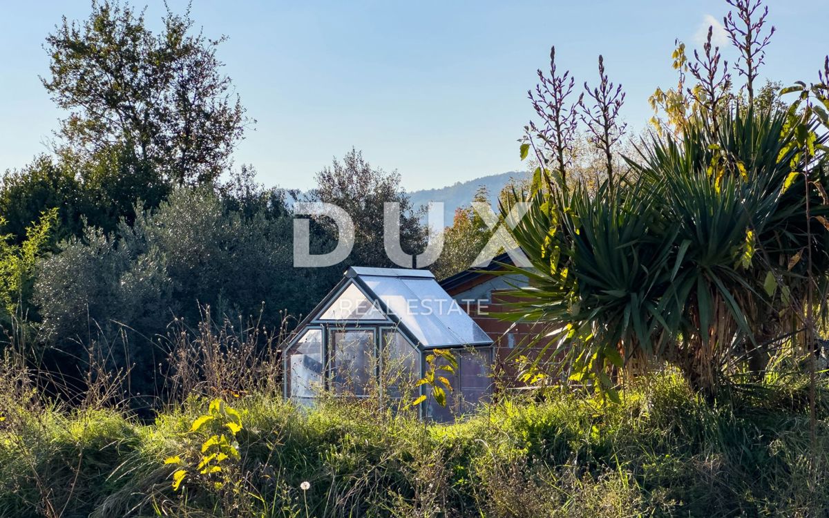 ISTRA, LUPOGLAV, OKOLICA - podeželsko posestvo v Istri z 8 hišami na samem - zemljišče 22.000 m²