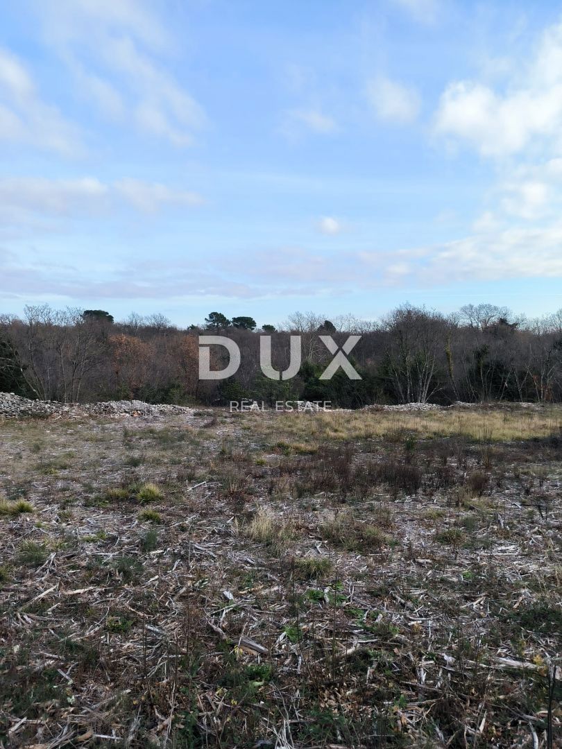 ISTRA, MARČANA Atraktivno gradbeno zemljišče!