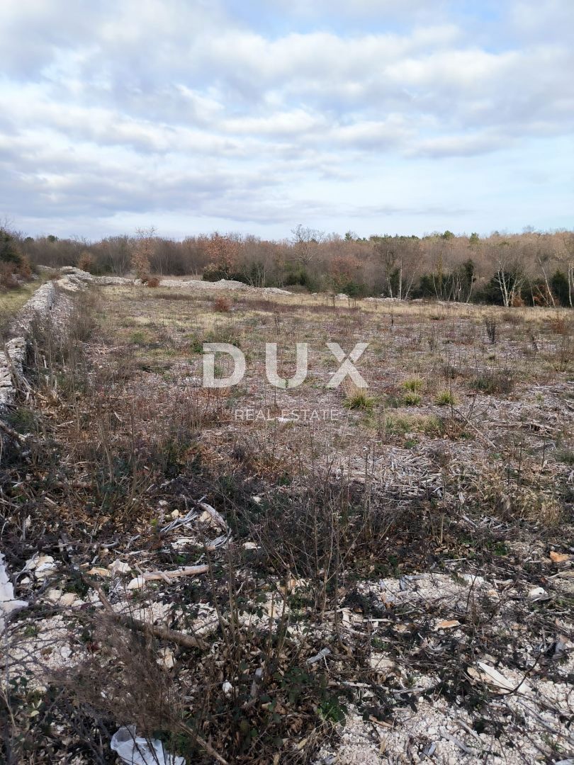 ISTRA, MARČANA Atraktivno gradbeno zemljišče!