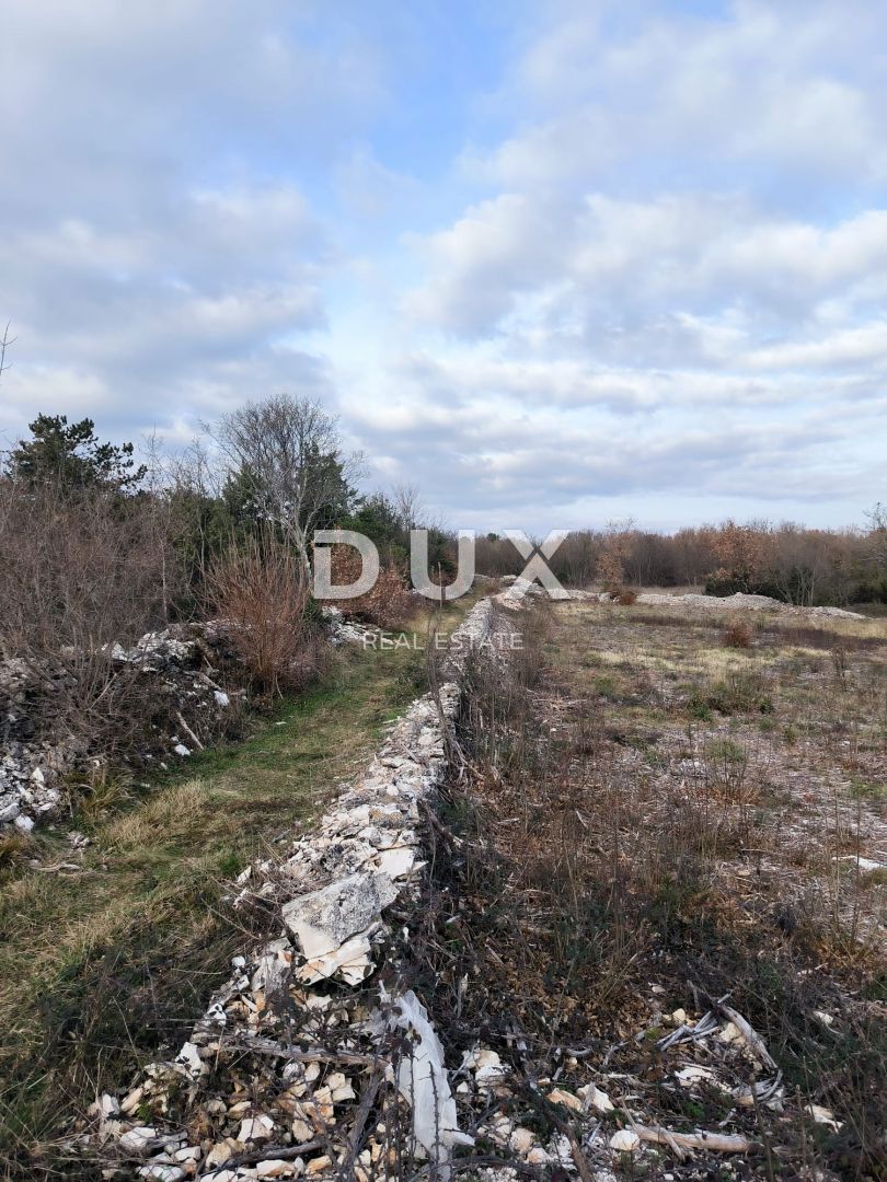 ISTRA, MARČANA Atraktivno gradbeno zemljišče!