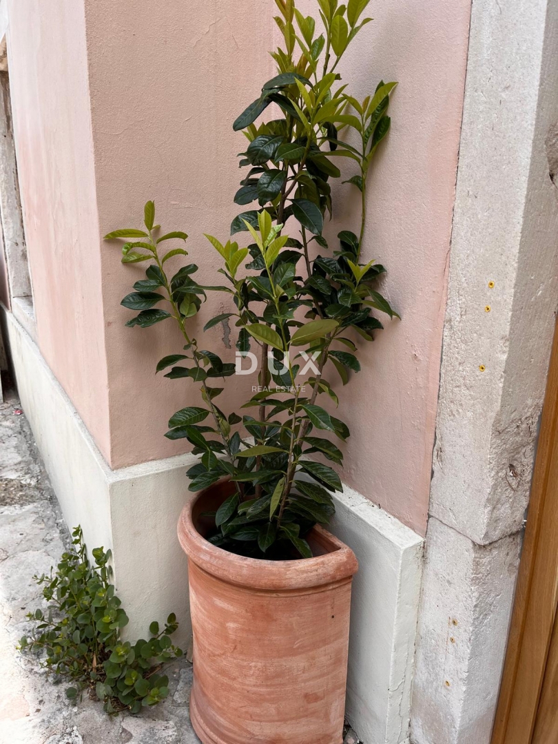 Poslovni prostor Gradina, Šibenik - Okolica, 1m2