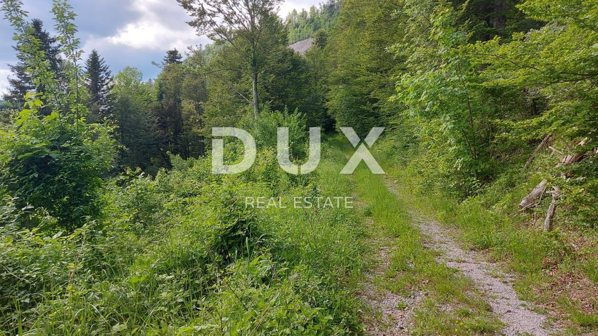 GORSKI KOTAR, FUŽINE - edinstven projekt v osrčju Gorskega Kotarja, zazidljivo zemljišče 1197 m2 s projektom za vilo, investicijska priložnost!