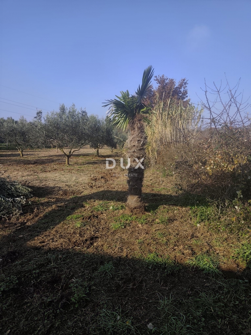 Hiša Pomer, Medulin, 18,35m2