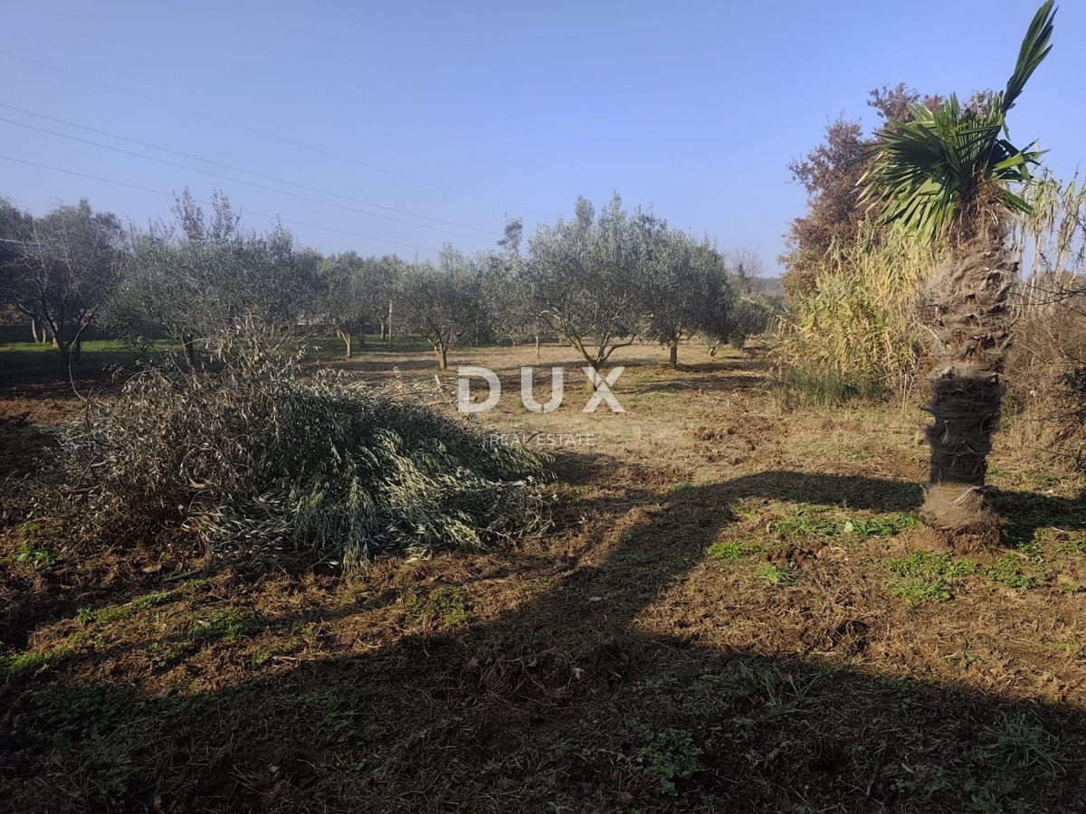 Hiša Pomer, Medulin, 18,35m2