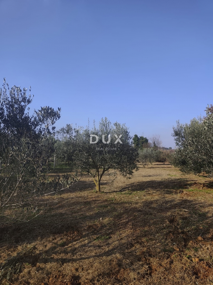 Hiša Pomer, Medulin, 18,35m2