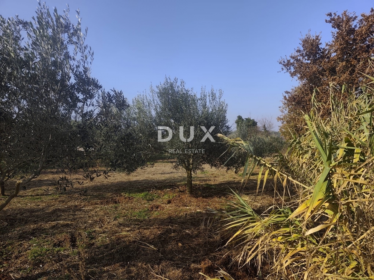 Hiša Pomer, Medulin, 18,35m2