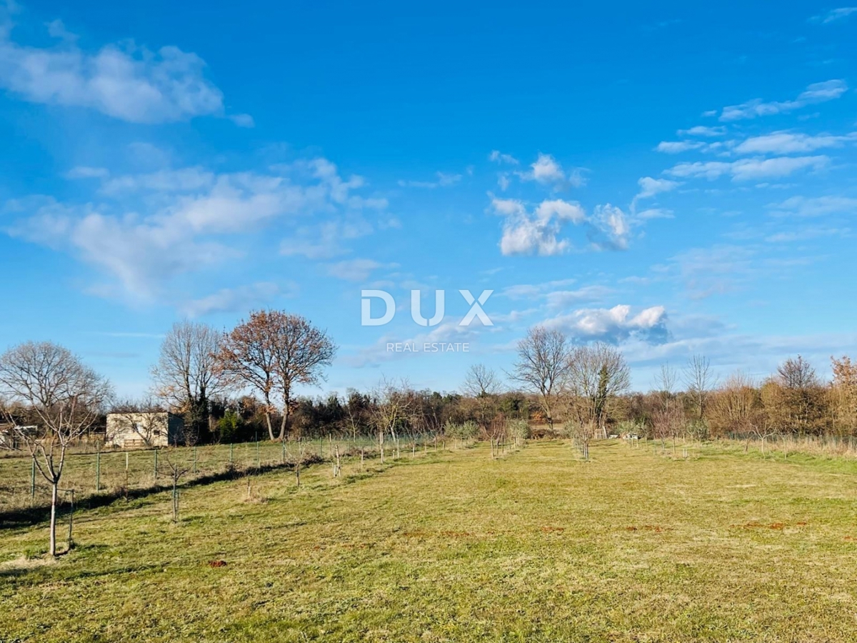 ISTRA, LOBORIKA - Hiša z veliko gradbeno parcelo