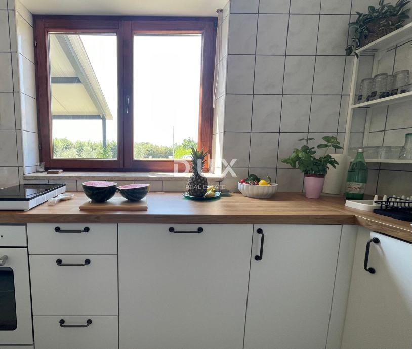 ISTRA, LOBORIKA - Hiša z veliko gradbeno parcelo