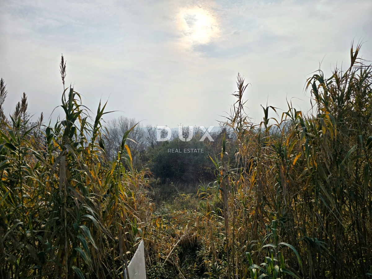 Zemljišče Buje, 719m2