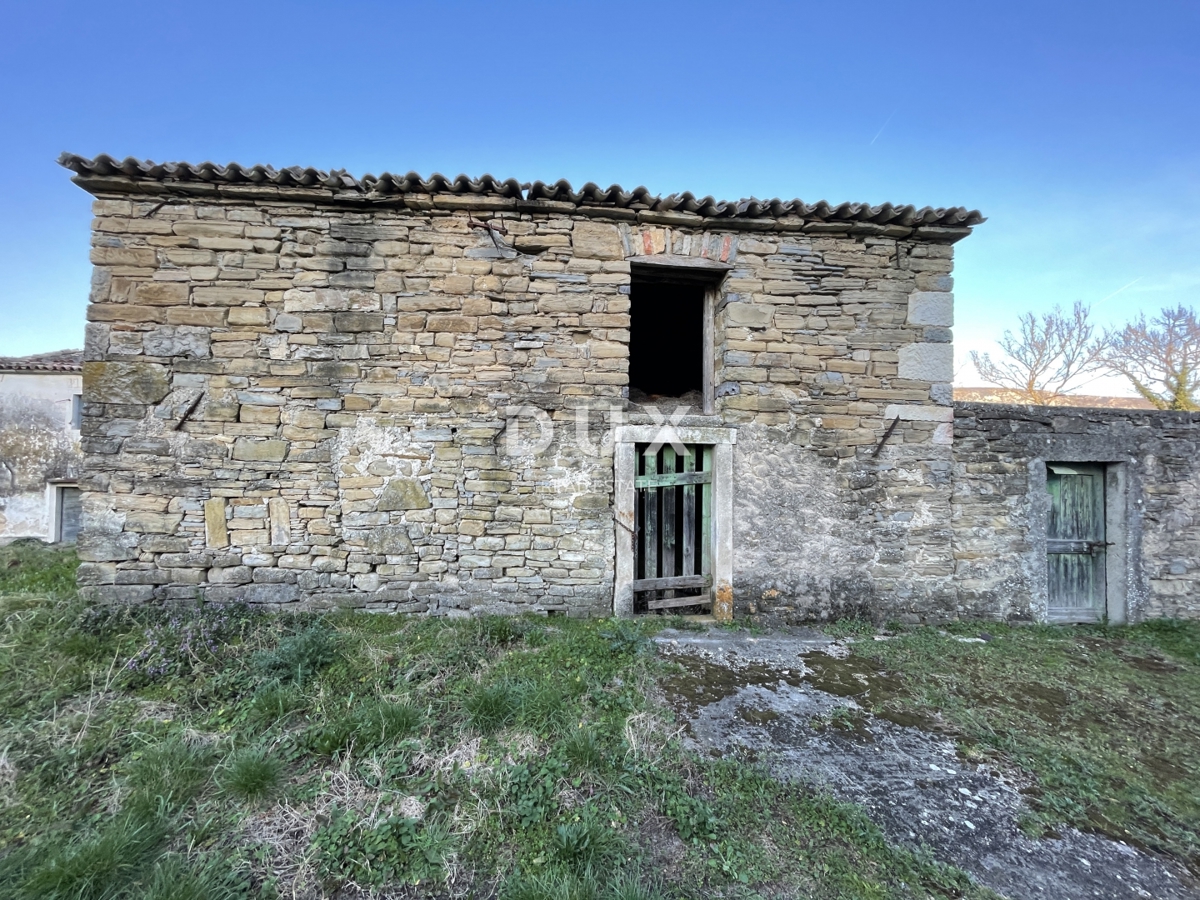 ISTRA, KRŠAN - Istrsko posestvo na robu vasi