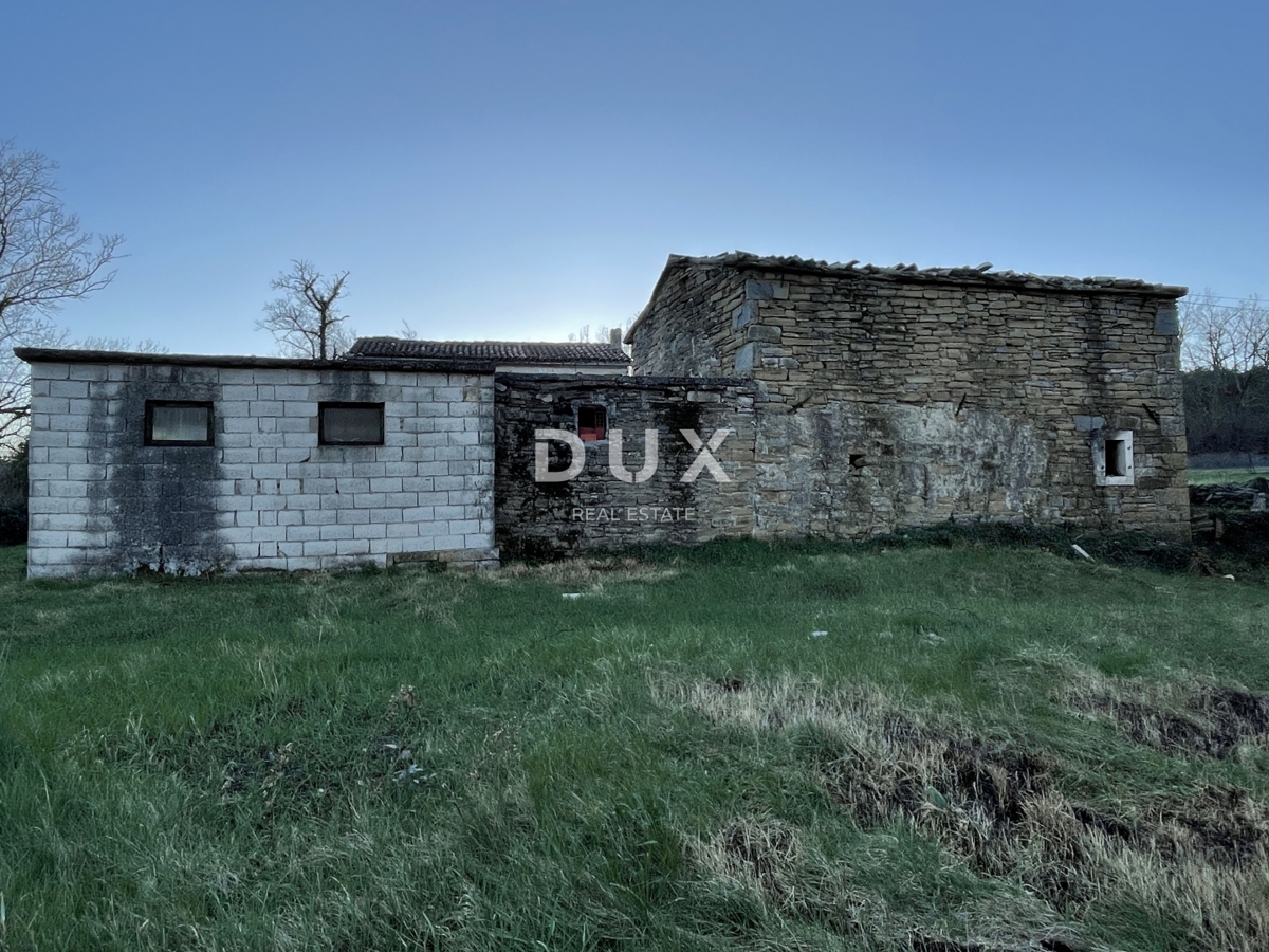 ISTRA, KRŠAN - Istrsko posestvo na robu vasi