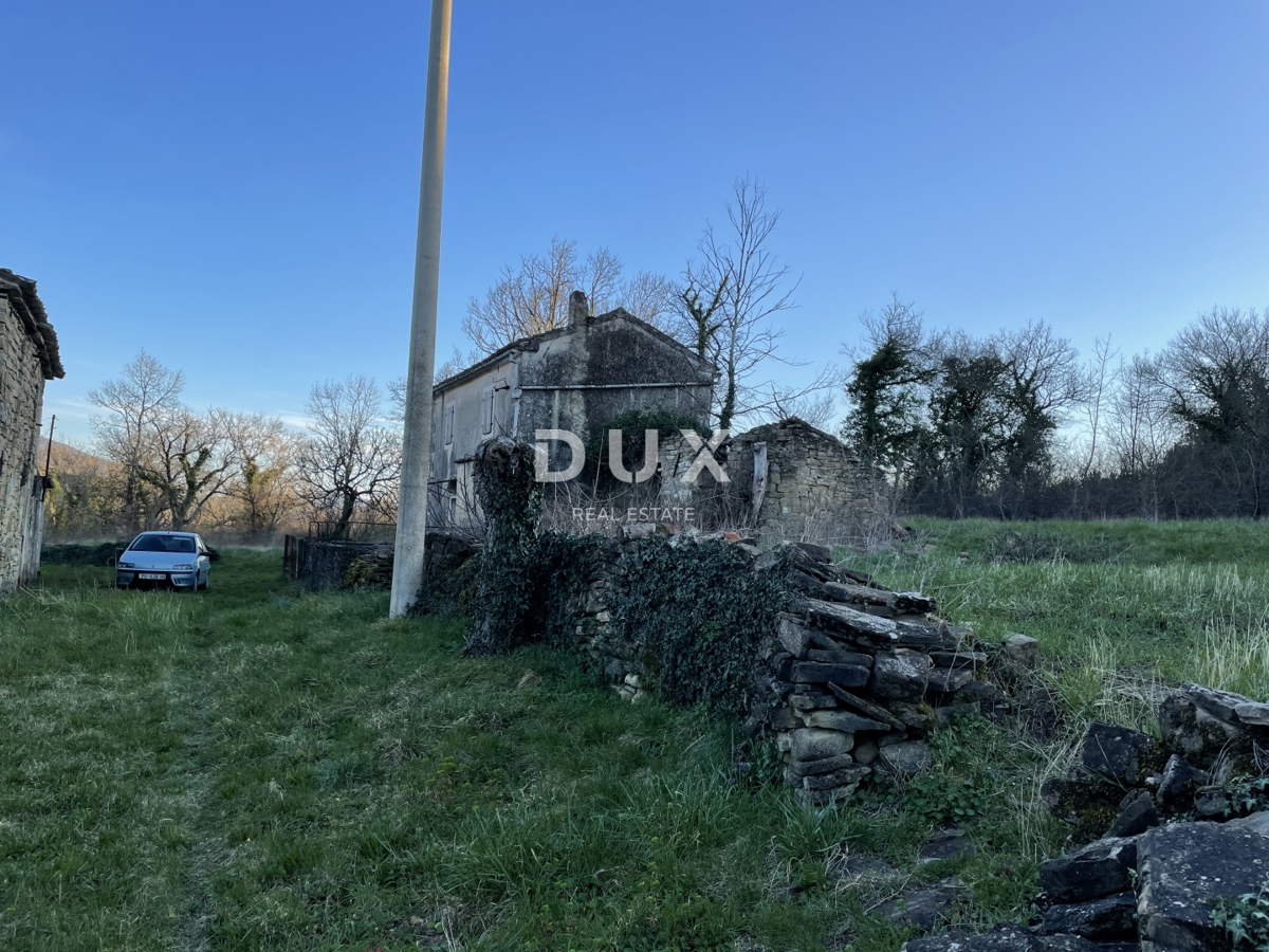 ISTRA, KRŠAN - Istrsko posestvo na robu vasi