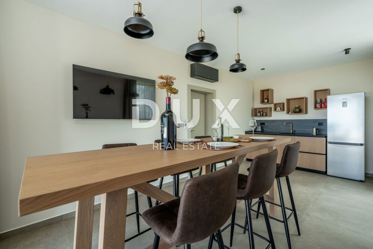 ISTRA, KRNICA - Čudovita novozgrajena vila s pogledom na morje