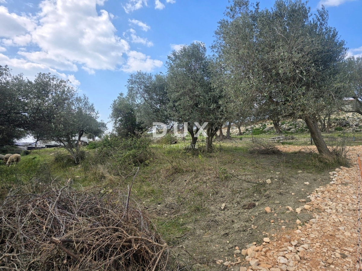 ISTRA, BUJE - Gradbeno zemljišče s panoramskim razgledom