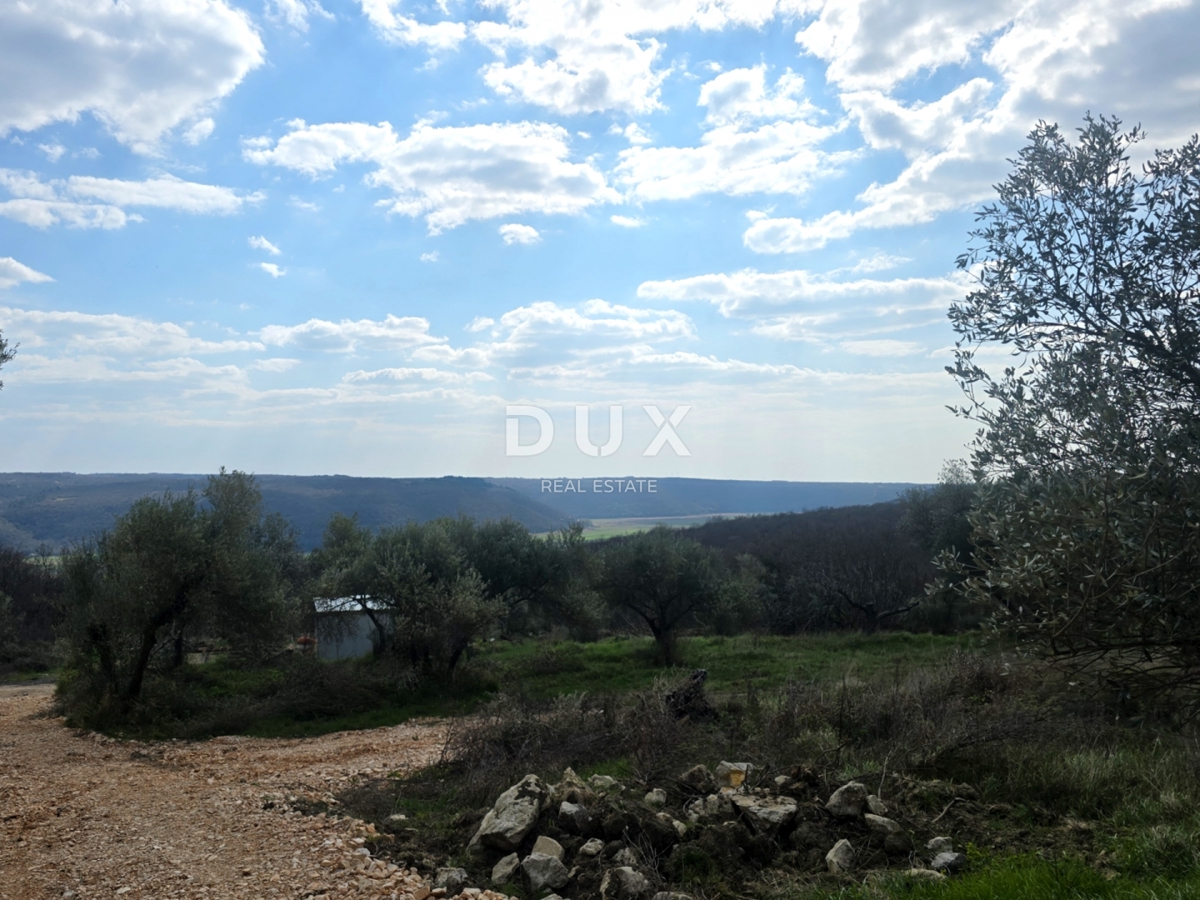 ISTRA, BUJE - Gradbeno zemljišče s panoramskim razgledom