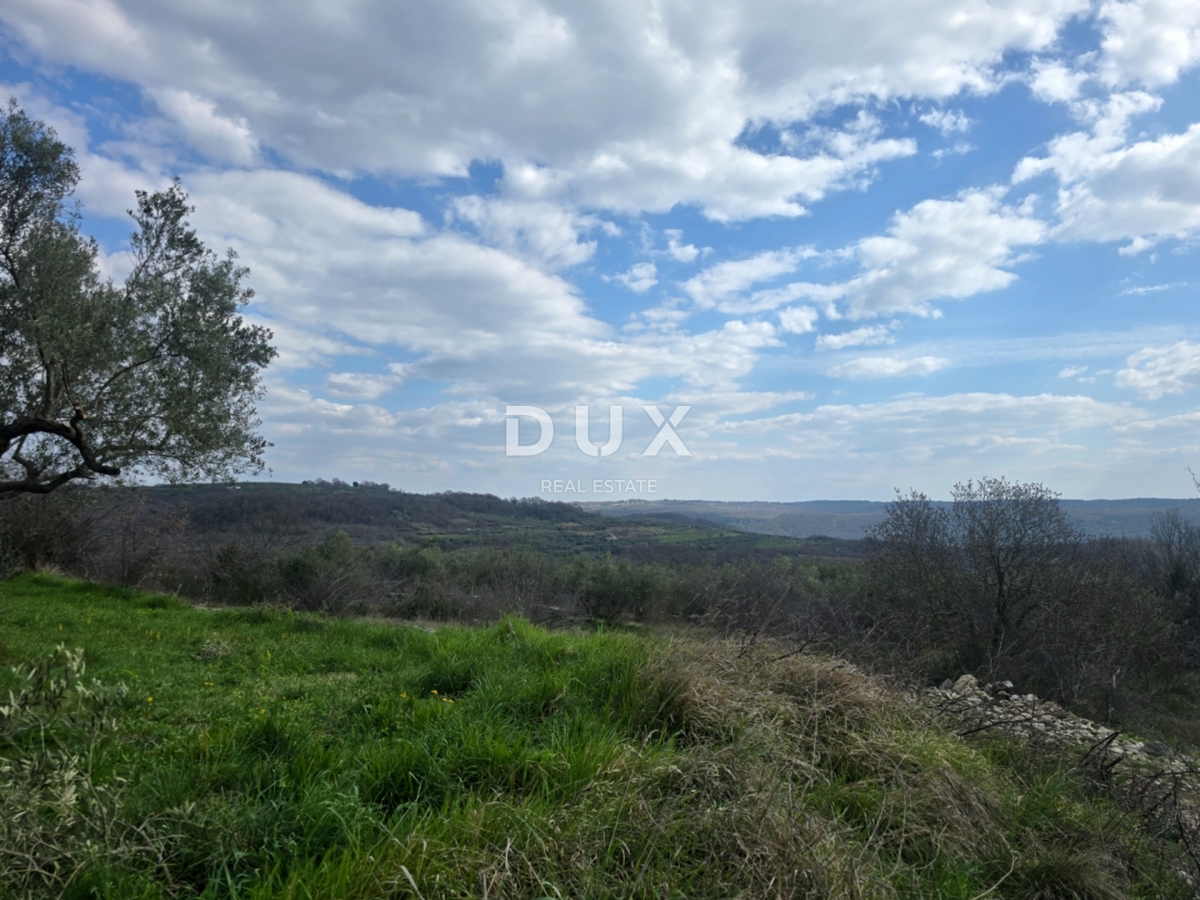 ISTRA, BUJE - Gradbeno zemljišče s panoramskim razgledom