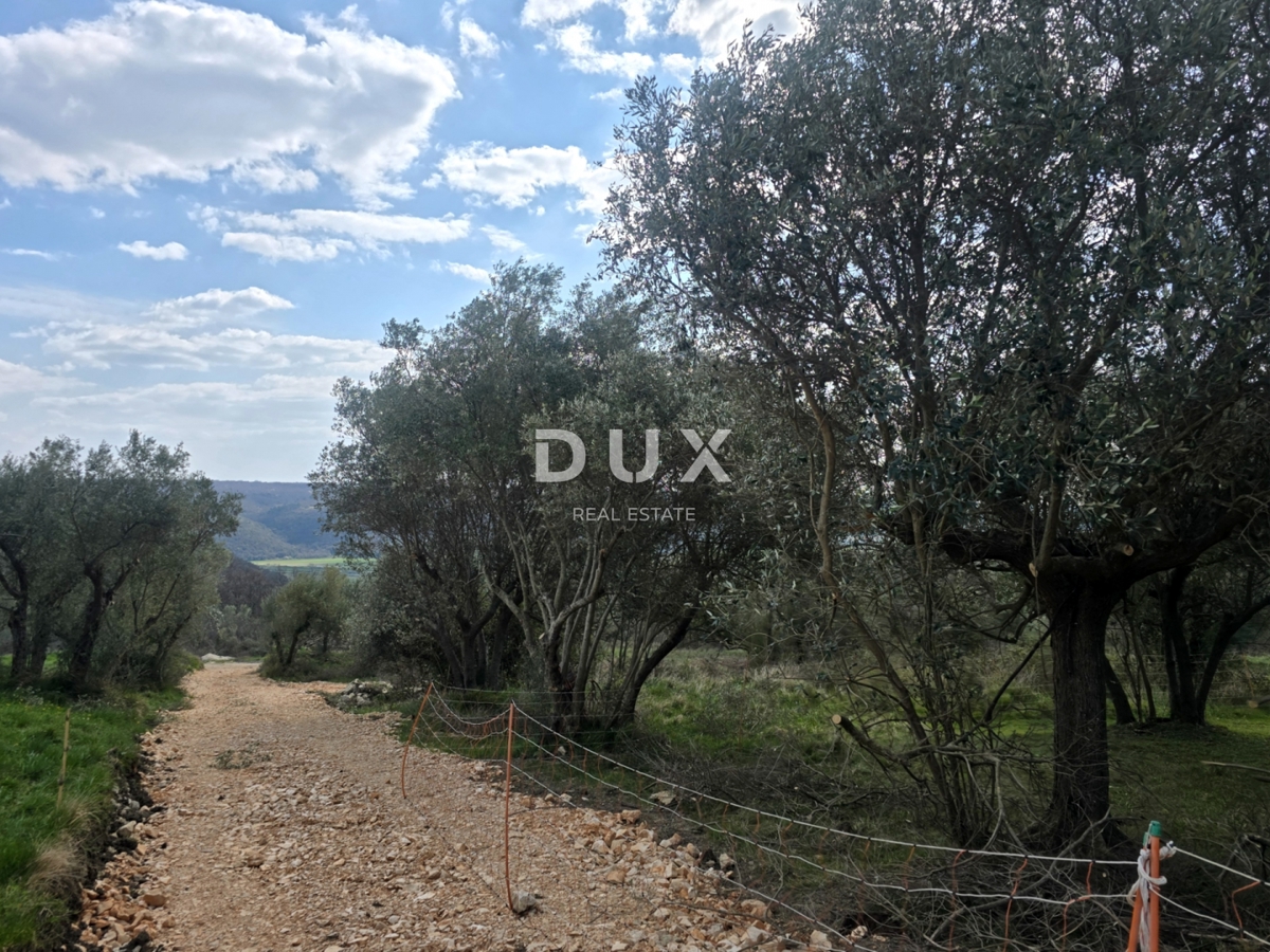 ISTRA, BUJE - Gradbeno zemljišče s panoramskim razgledom