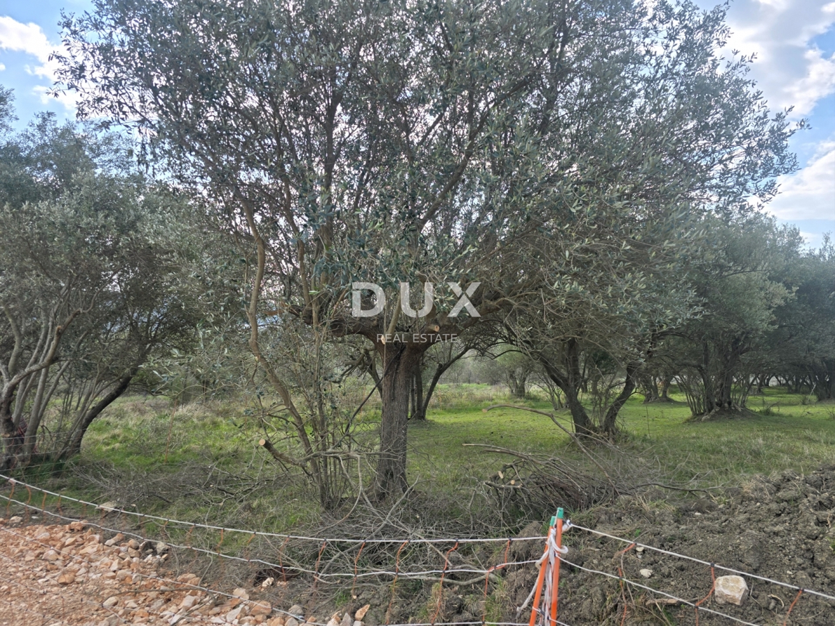 ISTRA, BUJE - Gradbeno zemljišče s panoramskim razgledom