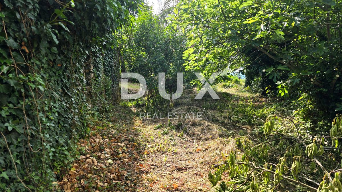 ISTRA, LABIN - Samostojna kamnita hiša