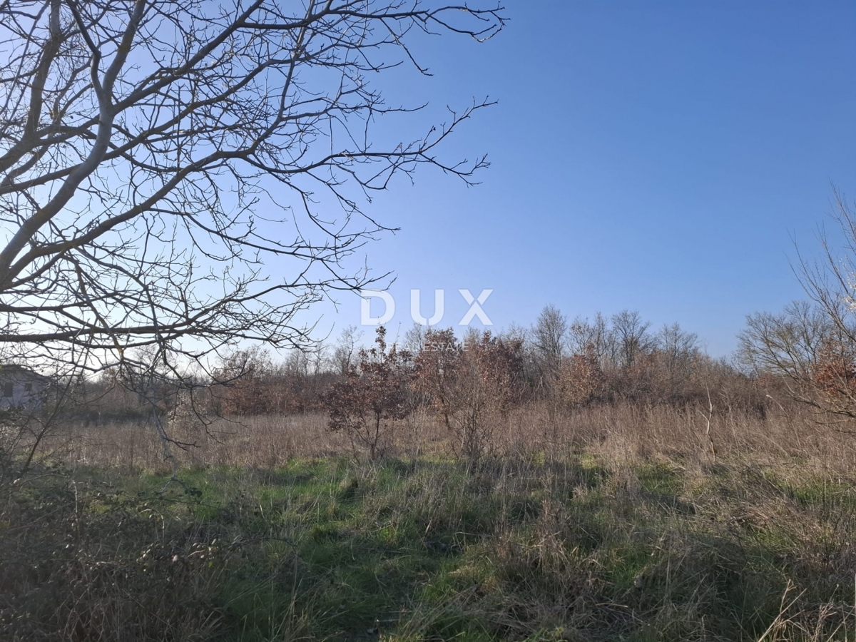 ISTRA, KANFANAR - Veliko kmetijsko zemljišče