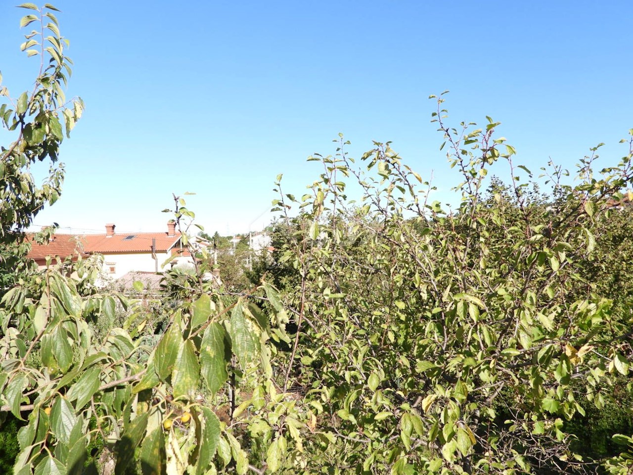 Zemljišče Marinići, Viškovo, 1.750m2