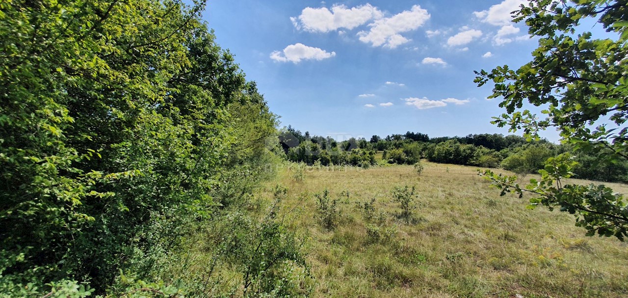 Zemljišče Šumber, Sveta Nedelja, 7.377m2