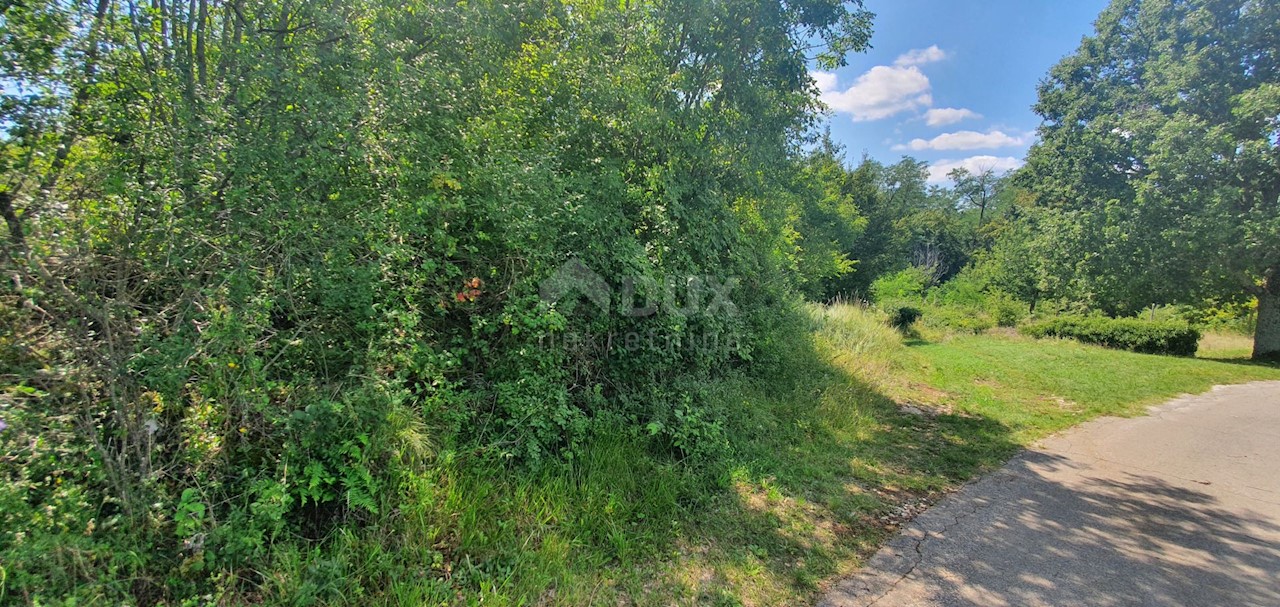 Zemljišče Šumber, Sveta Nedelja, 7.377m2