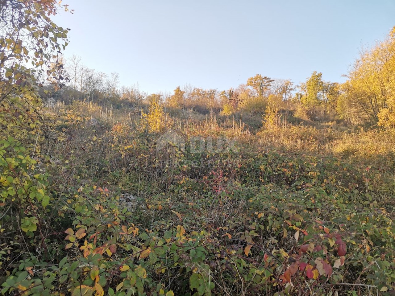 Brnčići, Kastav, 1.062m2