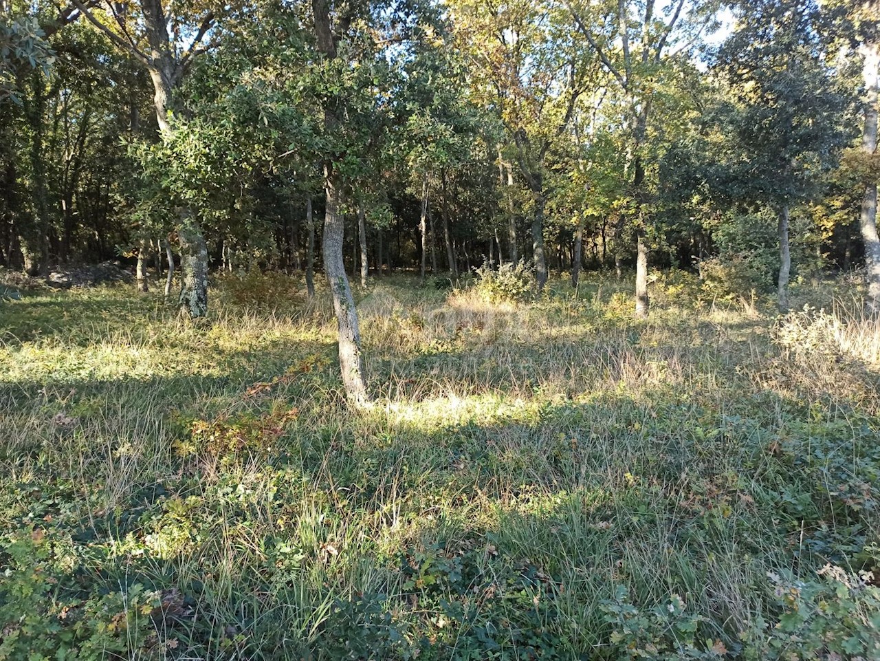 Medulin, 3.694m2