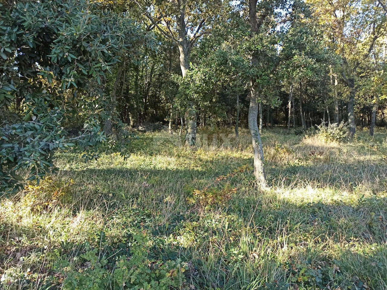 Medulin, 3.694m2