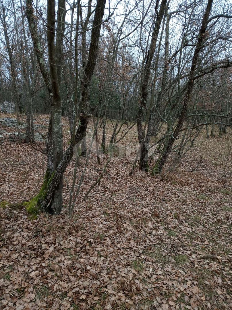 Kršan, 48.524m2