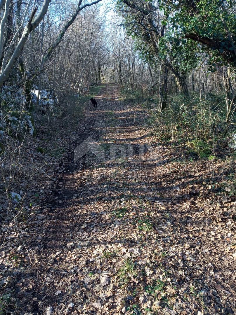 Kršan, 48.524m2