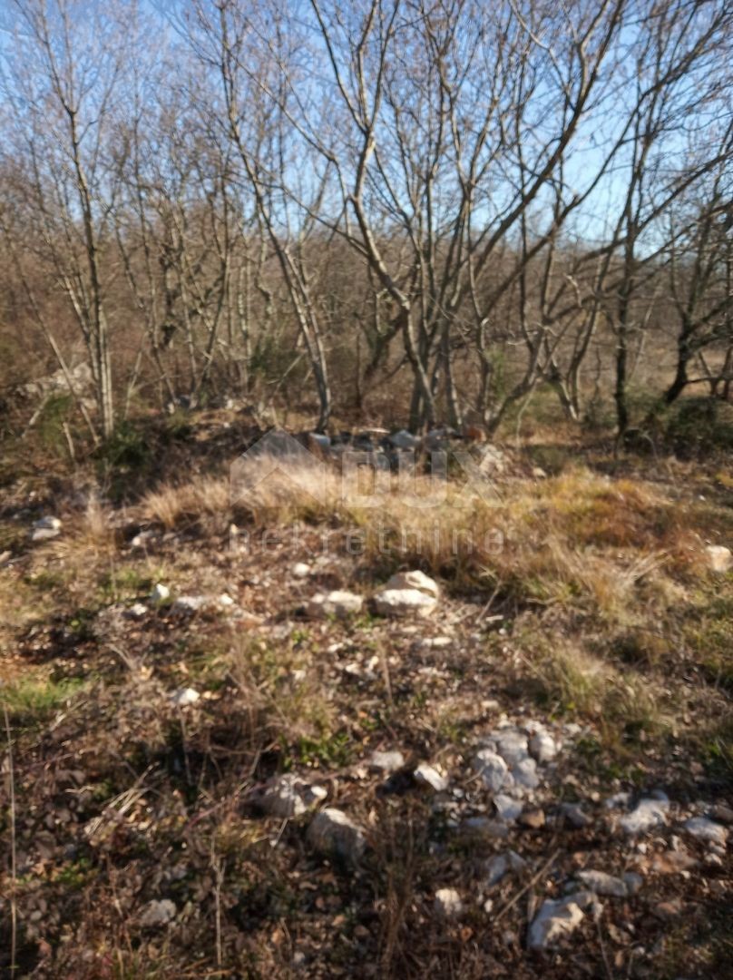 Kršan, 48.524m2
