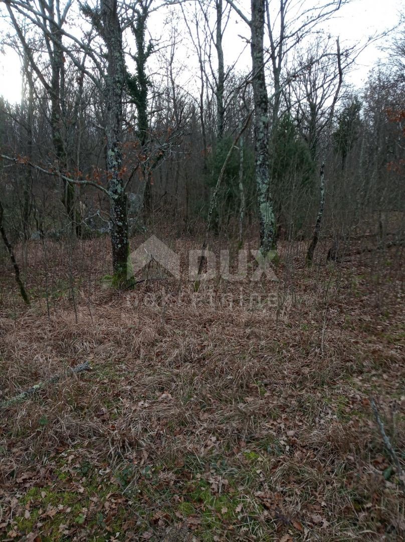 Kršan, 48.524m2