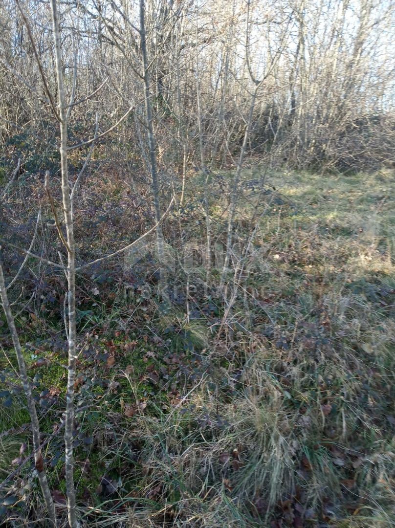 Kršan, 48.524m2