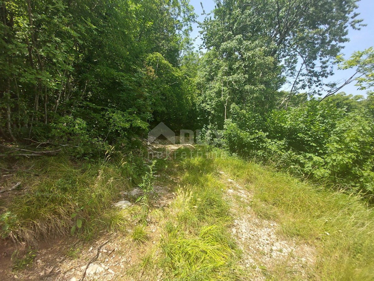 Bregi, Matulji, 3.100m2