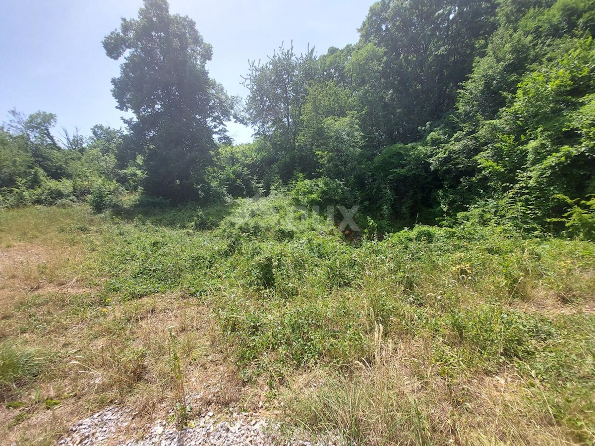 Bregi, Matulji, 3.100m2